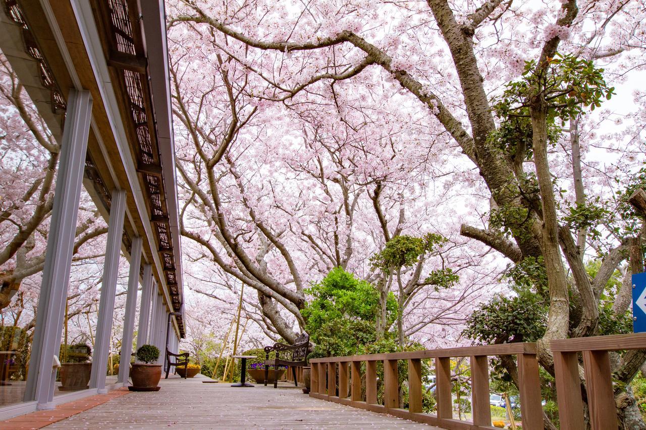 莫阿纳海岸度假村酒店 度假村 4*